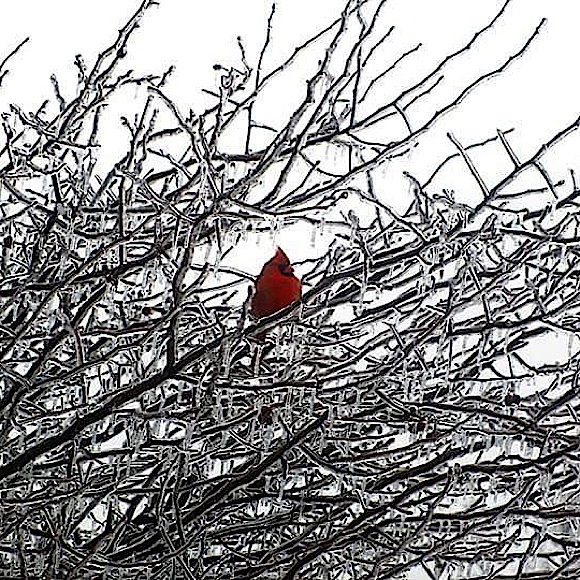 💫 Amanda’s Aisle 💫 - Picture 1 of 1